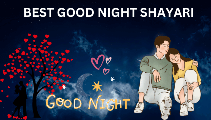 Best Good Night Shayari In Hindi Hindi Sayari