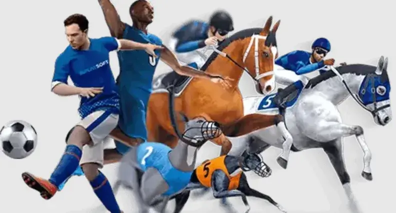 Daily Earning Tricks for Daman Game Players Daily Earning Tricks for Daman Game Players